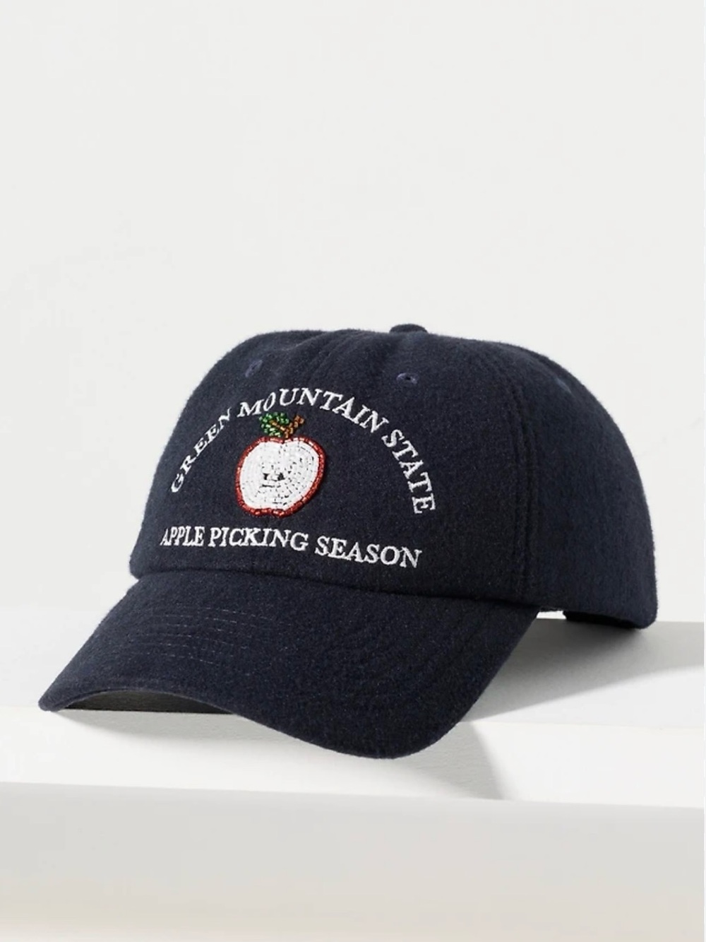 Coney Island picnic fall icon baseball cap